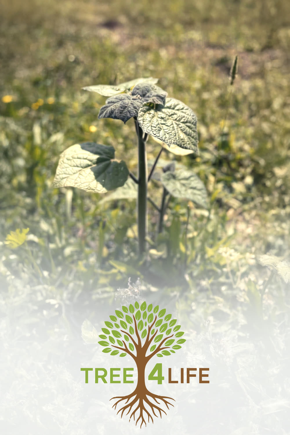 Tree for Life, Tree 4 Life eG · Kroatien